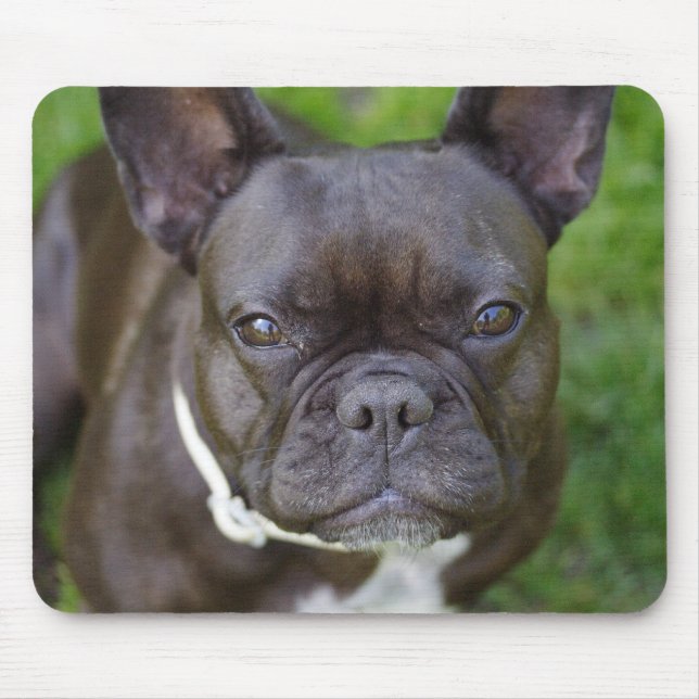 French Bulldog Mouse Pad (Front)