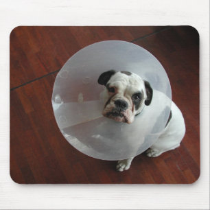 French Bulldog Mouse Pad