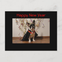 French Bulldog New Year French Bulldog