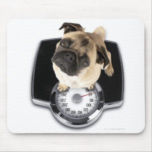 French bulldog on scales looking up at camera mouse pad