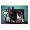 French Bulldog On The Chair