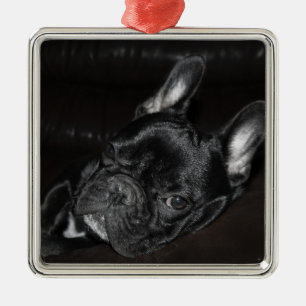 French Bulldog Ornament Metal Custom