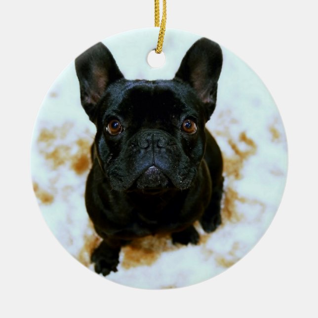 French Bulldog Ornament With Your Photo (Front)