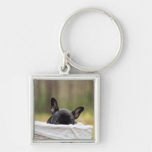 french bulldog peeking puppy keychain