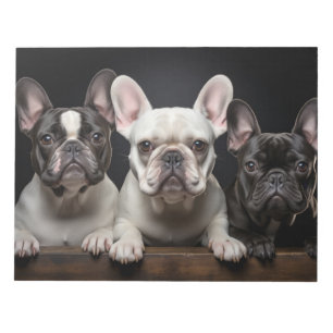French Bulldog Pet Animal Portrait Nature Beauty Notepad