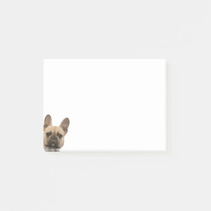 French Bulldog Photo Cute Face Picture Post-it Notes