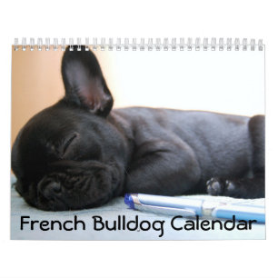 French Bulldog Photos Calendar 2026