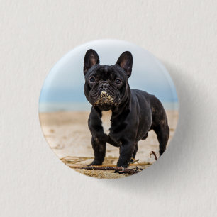 French Bulldog Playing in the Sand 1 Inch Round Button