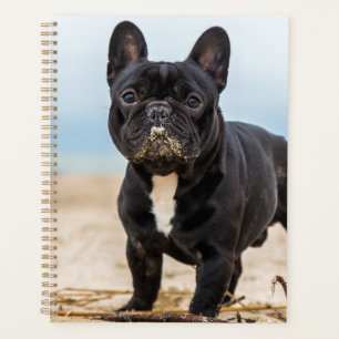 French Bulldog Playing in the Sand Planner