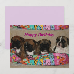 French Bulldog postcard