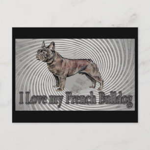 French Bulldog Postcard