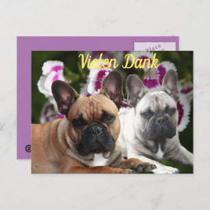 French Bulldog postcard