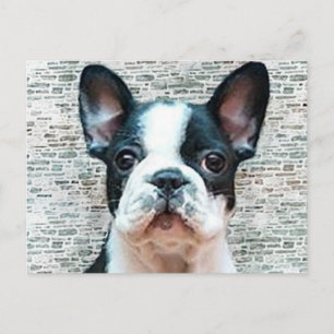 French Bulldog postcard