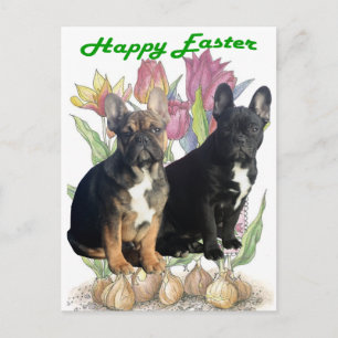 French Bulldog postcard Easter