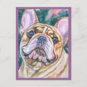 French Bulldog Postcards