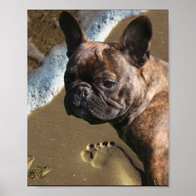French Bulldog Poster  (Front)