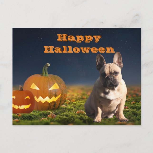 French Bulldog Pumpkin French Bulldog Postcard (Front)