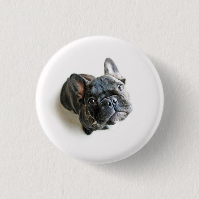 French Bulldog Puppy 1 Inch Round Button (Front)