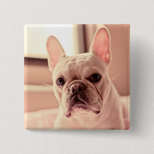 French Bulldog Puppy 2 Inch Square Button