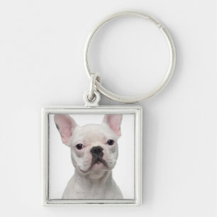 French Bulldog Puppy (5 months old) Keychain