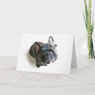 French Bulldog Puppy Card