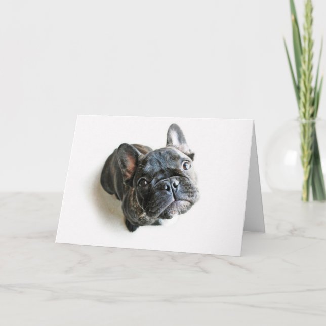 French Bulldog Puppy Card (Front)