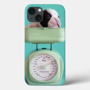 French Bulldog Puppy iPhone 13 Case