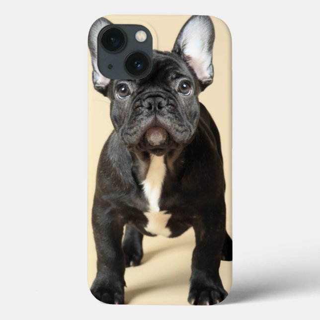 French Bulldog Puppy Case-Mate iPhone Case (Back)