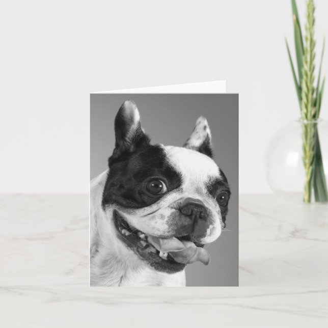 French Bulldog Puppy Dog Blank Note Card (Front)
