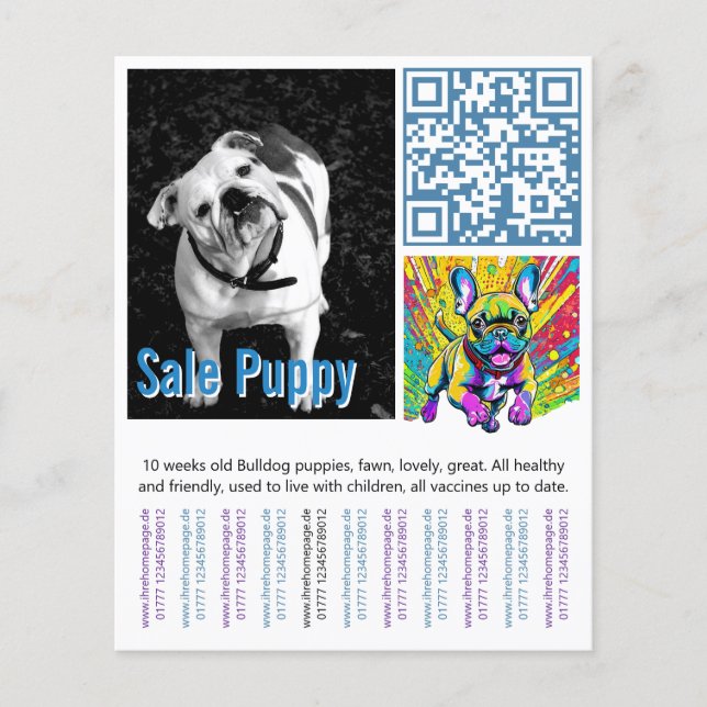 French Bulldog Puppy  Flyer (Front)