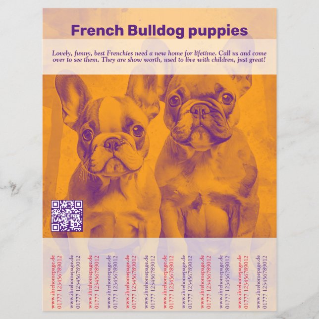 French Bulldog Puppy Flyer (Front)