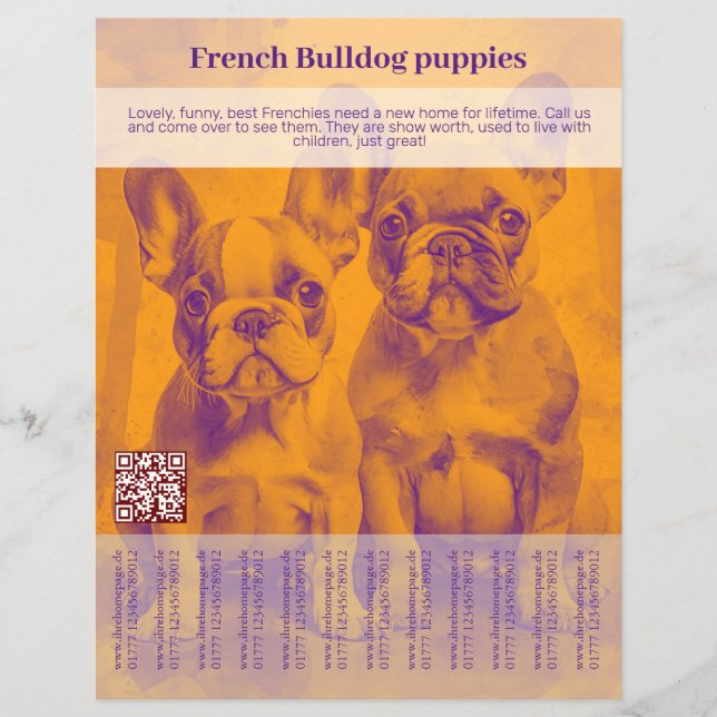 French Bulldog Puppy Flyer  (Front)