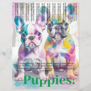 French Bulldog Puppy Flyer