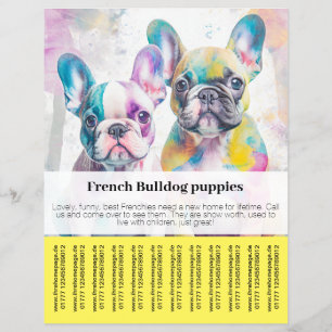 French Bulldog Puppy Flyer