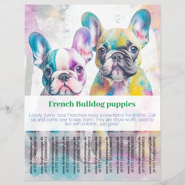 French Bulldog Puppy Flyer  (Front)
