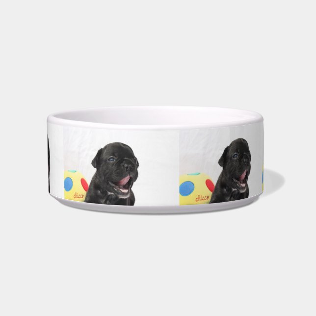 French Bulldog Puppy French Bulldog Bowl (Front)