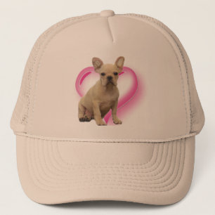 French bulldog puppy hat