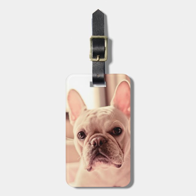 French Bulldog Puppy Luggage Tag (Front Vertical)
