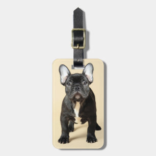 French Bulldog Puppy Luggage Tag