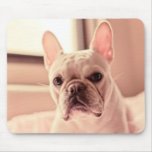 French Bulldog Puppy Mouse Pad