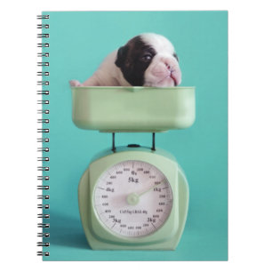 French Bulldog Puppy Notebook