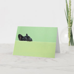 French Bulldog Puppy Peering Over Wall Card