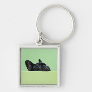 French Bulldog Puppy Peering Over Wall Keychain