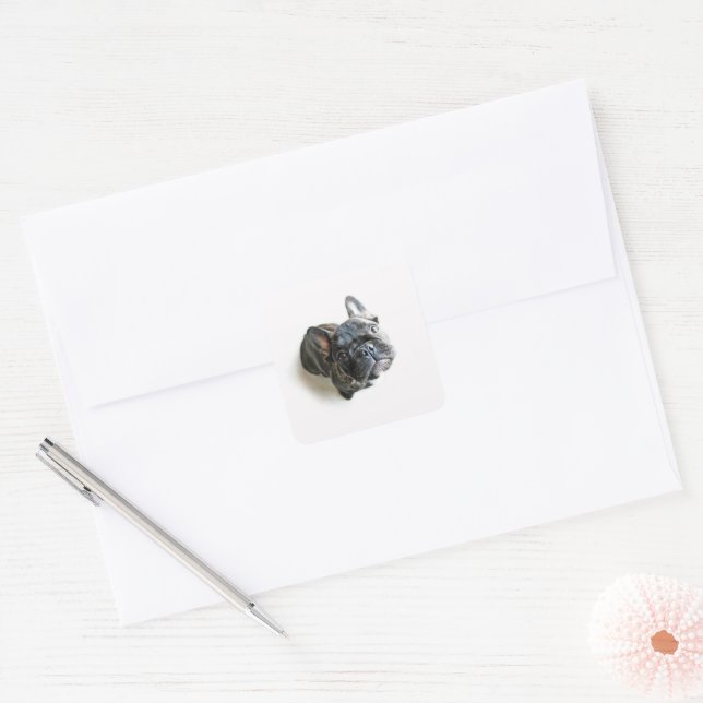 French Bulldog Puppy Square Sticker (Envelope)