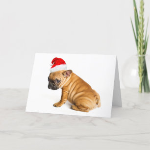 French bulldog puppy wearing a Santa Claus hat Holiday Card