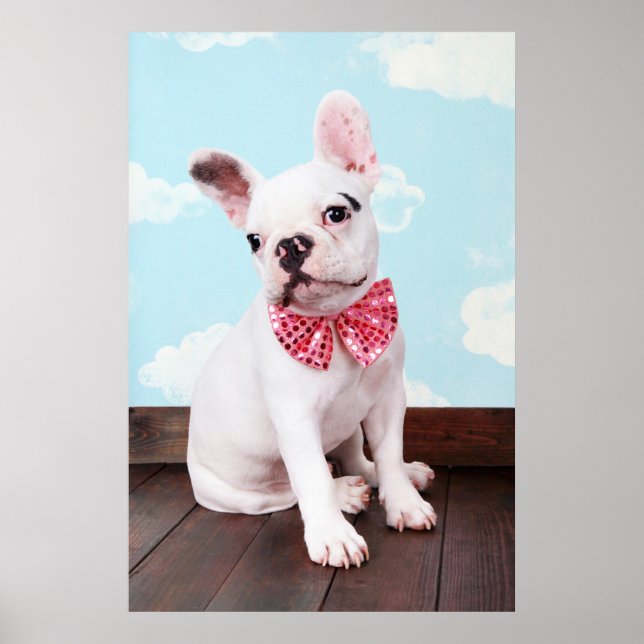 French Bulldog Puppy With Pink Bow Poster (Front)