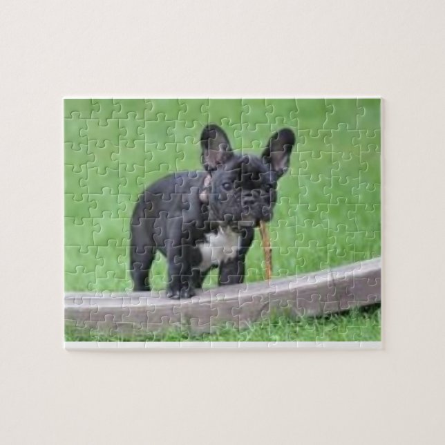 French Bulldog Puzzle (Horizontal)