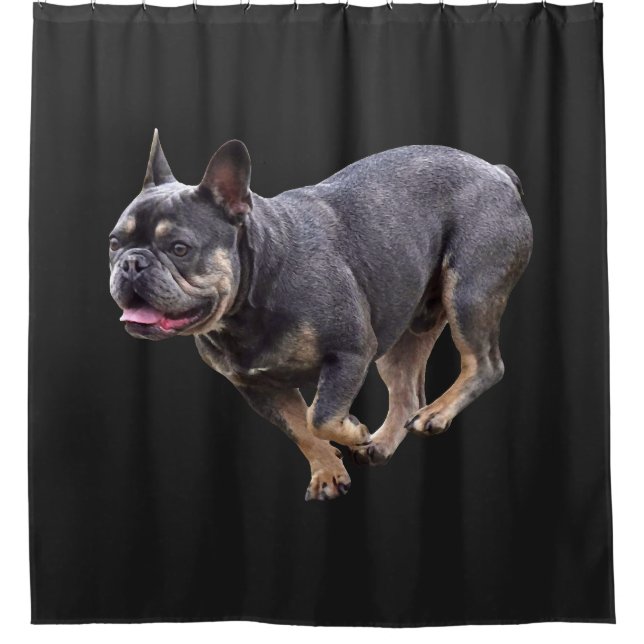 French Bulldog Running (Front)