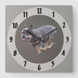 French Bulldog Running Square Wall Clock