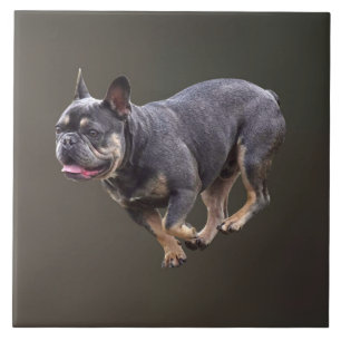 French Bulldog Running Tile